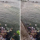 Viral! Warga Maluku Buang Sampah ke Laut, Sebut Sudah jadi Tradisi di Kampungnya