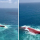Fakta Fakta Kapal Virgo Transport 8 Tenggelam di Perairan Laut Jawa