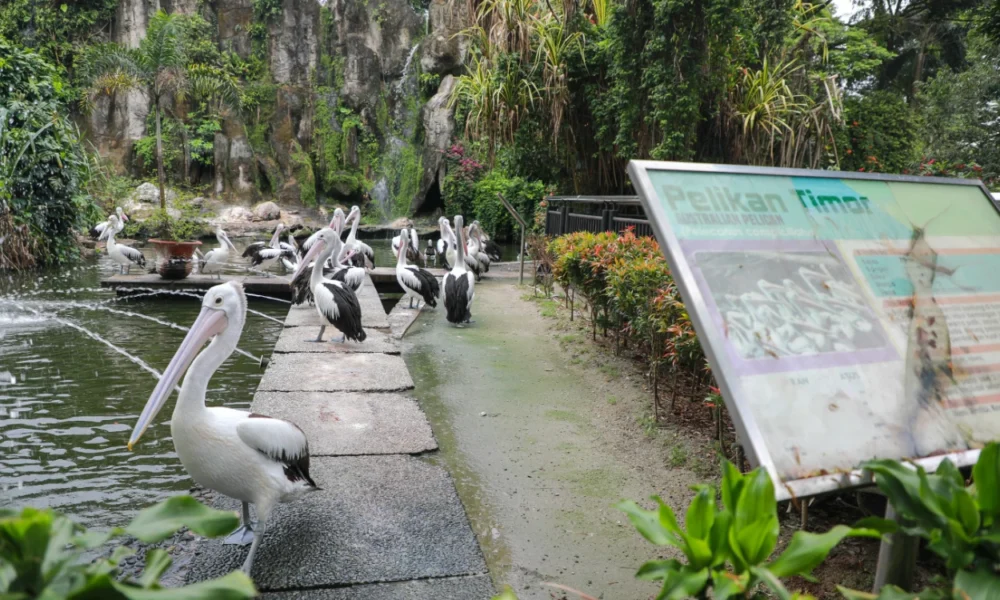 Harga Tiket Ragunan Weekend untuk Anak Anak dan Dewasa