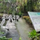 Harga Tiket Ragunan Weekend untuk Anak Anak dan Dewasa