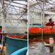 Hari Kedua Tak Lagi jadi Menkeu, Ini Momen Purbaya Asyik Kasih Makan Ikan