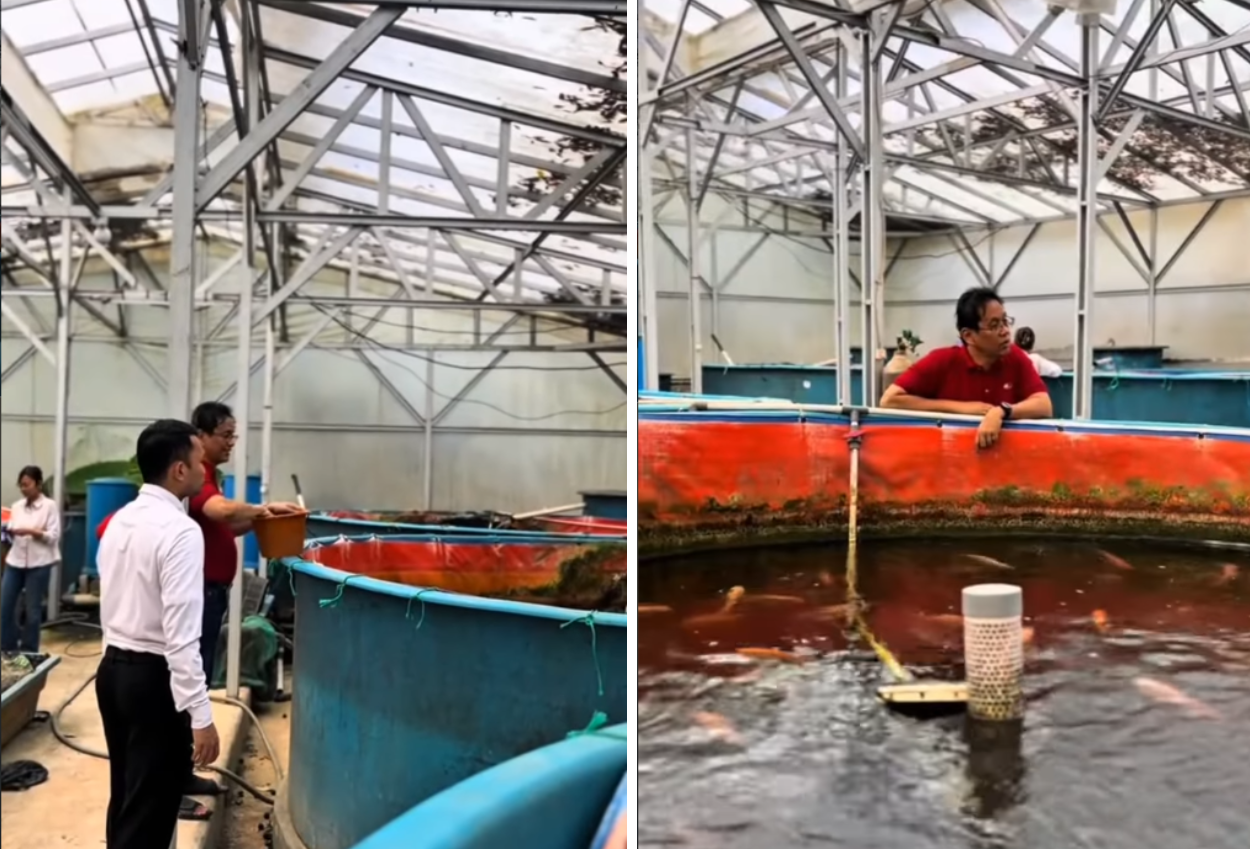 Hari Kedua Tak Lagi jadi Menkeu, Ini Momen Purbaya Asyik Kasih Makan Ikan