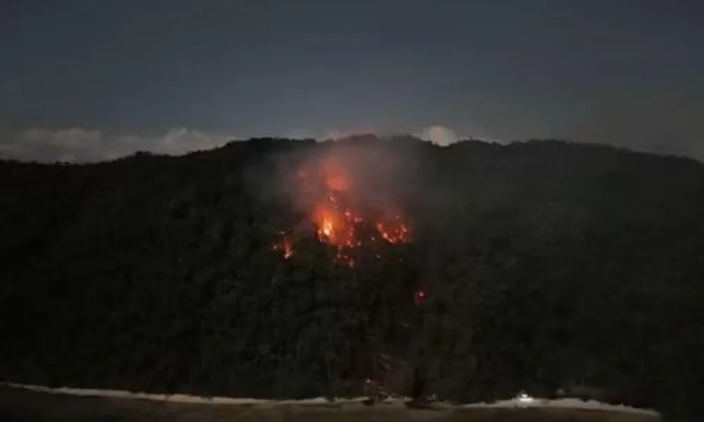 Kebakaran Hutan di Pulau Dayan Raja Ampat Hanguskan 7,2 Hektare Lahan