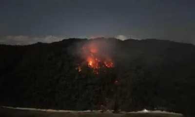 Kebakaran Hutan di Pulau Dayan Raja Ampat Hanguskan 7,2 Hektare Lahan