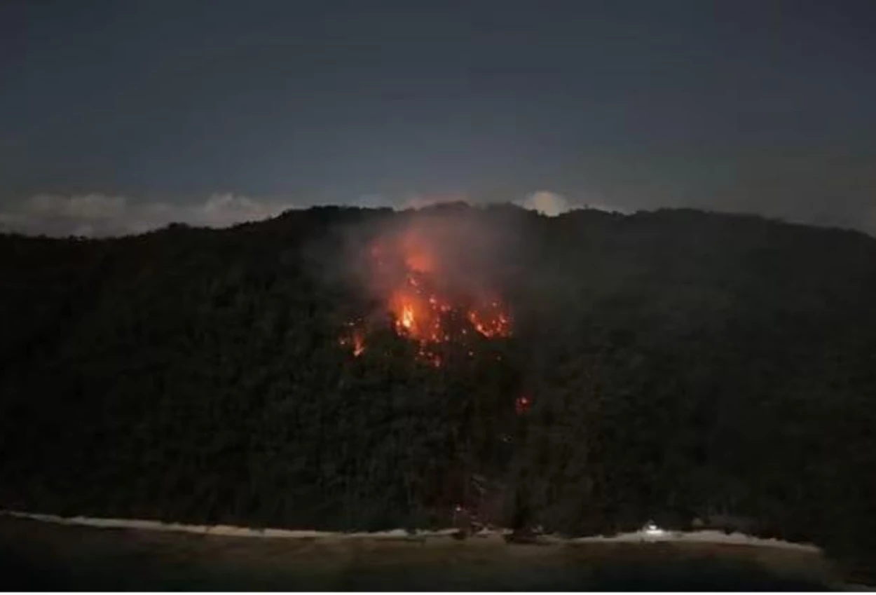 Kebakaran Hutan di Pulau Dayan Raja Ampat Hanguskan 7,2 Hektare Lahan