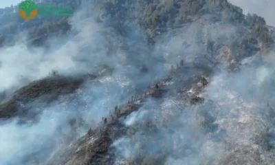 Kebakaran di Gunung Rinjani Meluas hingga 723 Hektare, Jalur Pendakian Ditutup Sementara