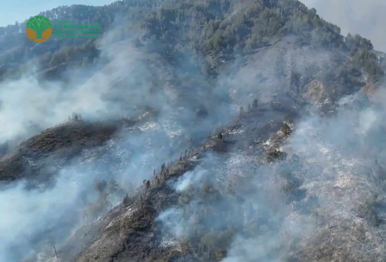 Kebakaran di Gunung Rinjani Meluas hingga 723 Hektare, Jalur Pendakian Ditutup Sementara