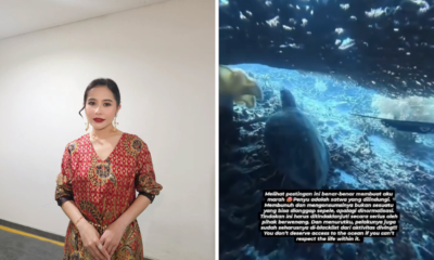 Prilly Tanggapi WNA yang Bunuh Penyu di Raja Ampat