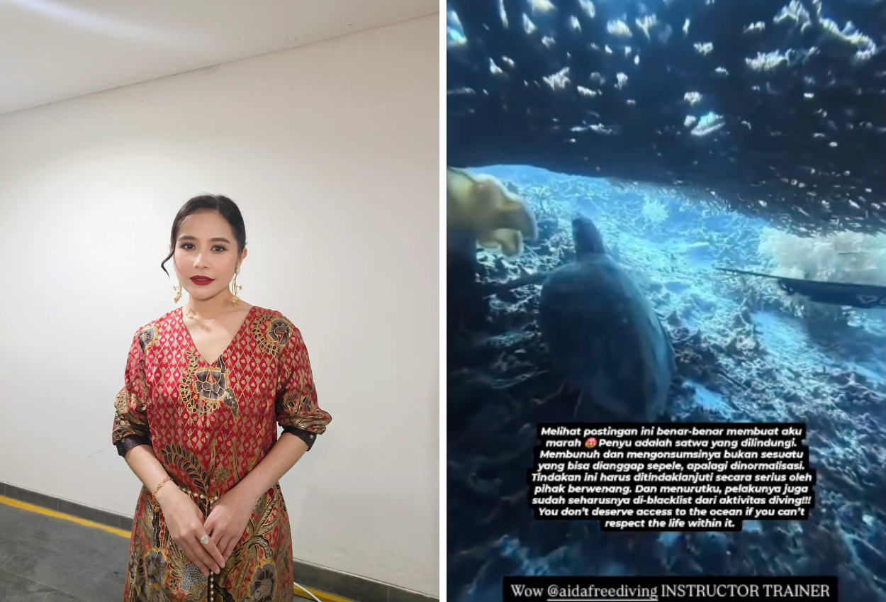 Prilly Tanggapi WNA yang Bunuh Penyu di Raja Ampat