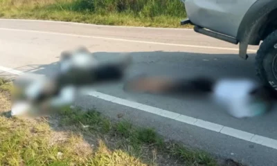 Tiga ASN Dinas Pertanian Jayawijaya Tewas Ditembak OTK saat Bawa Bantuan