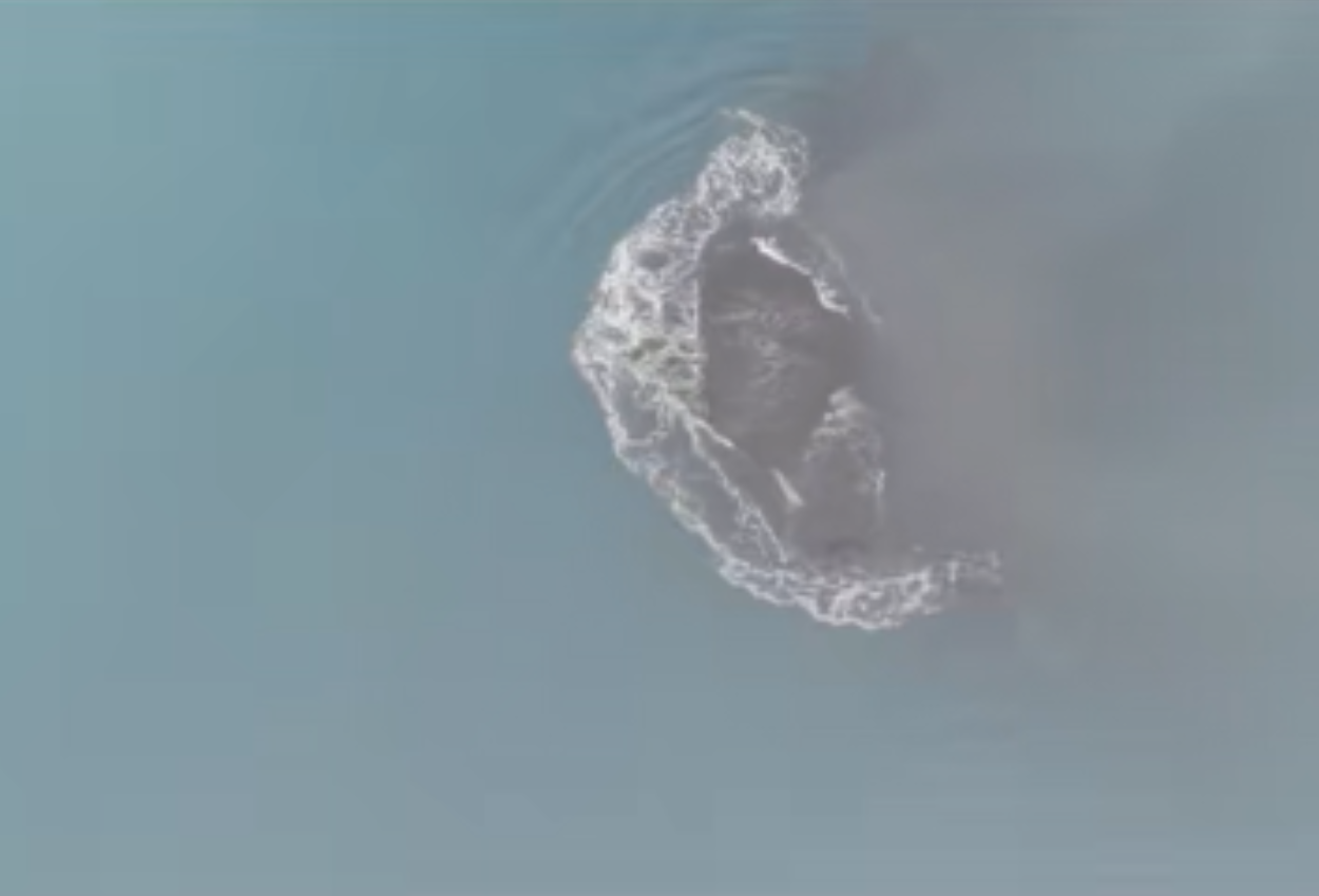 Update Gunung Anak Krakatau Hari Ini Ada Daratan Baru Seluas 30,3 Hektare Diduga Cucu Krakatau 