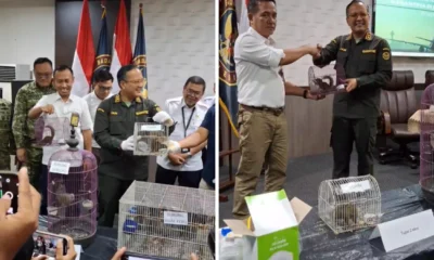 Viral! Penumpang Selundupkan Anak Monyet hingga Tupai di Bagasi Pesawat