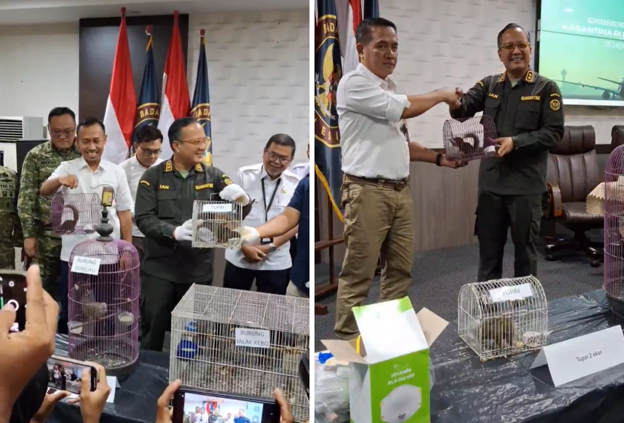 Viral! Penumpang Selundupkan Anak Monyet hingga Tupai di Bagasi Pesawat