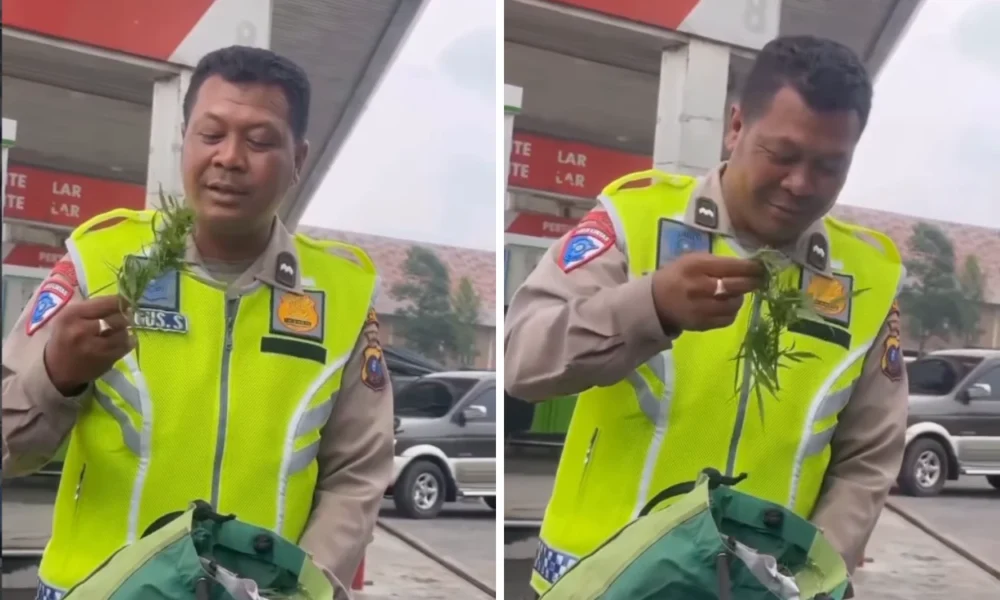 Viral! Polantas Temukan Daun Diduga Ganja di Tas Pria yang Alami Kecelakaan