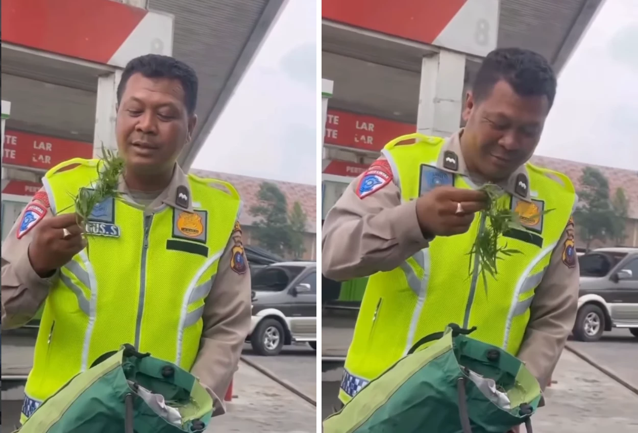 Viral! Polantas Temukan Daun Diduga Ganja di Tas Pria yang Alami Kecelakaan