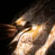 70 Ucapan Selamat Hari Batik Nasional Bahasa Inggris, Cocok Buat Medsos