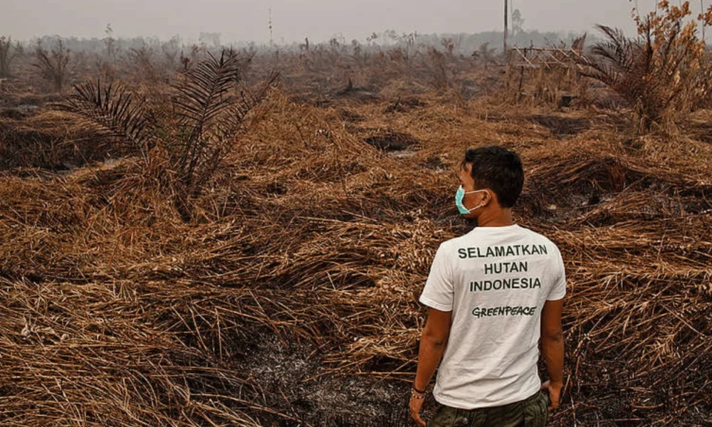 Arti Greenpeace Pengertian, Tujuan, dan Perannya dalam Melindungi Lingkungan