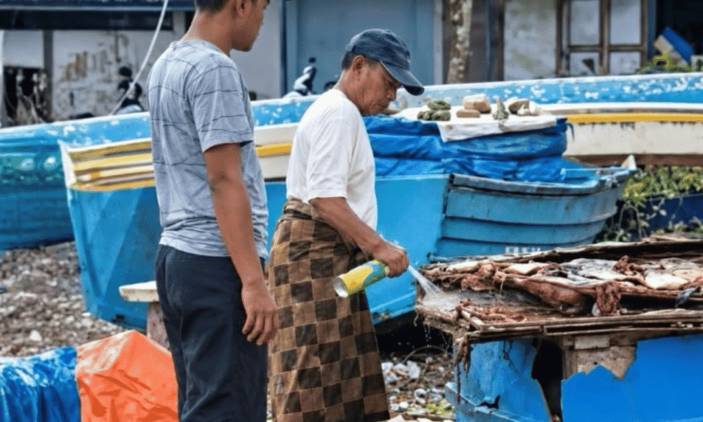 BPOM Buka Suara usai Video Viral Ikan Asin yang Diduga Disemprot Baygon