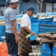 BPOM Buka Suara usai Video Viral Ikan Asin yang Diduga Disemprot Baygon