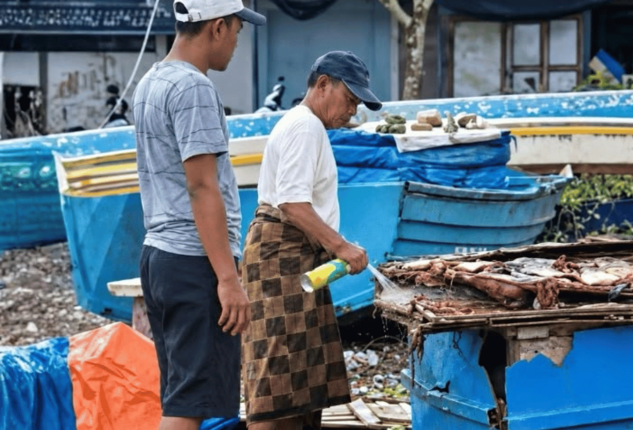 BPOM Buka Suara usai Video Viral Ikan Asin yang Diduga Disemprot Baygon