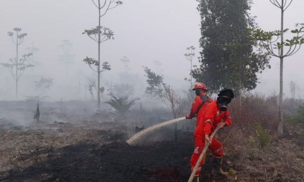 Karhutla Tak Kunjung Padam, Ini Alasan Pemerintah Belum Tetapkan Karhutla Jadi Bencana Nasioanal