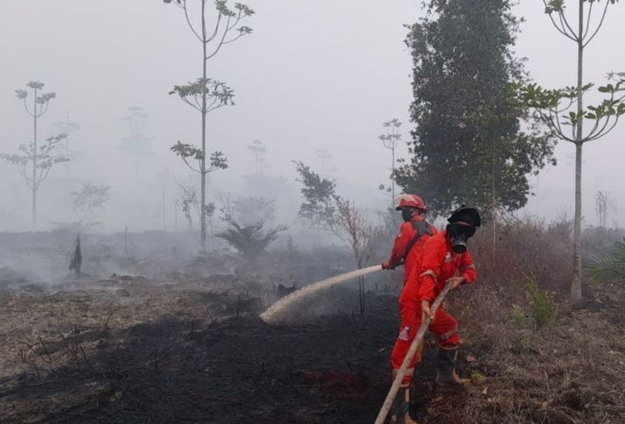 Karhutla Tak Kunjung Padam, Ini Alasan Pemerintah Belum Tetapkan Karhutla Jadi Bencana Nasioanal