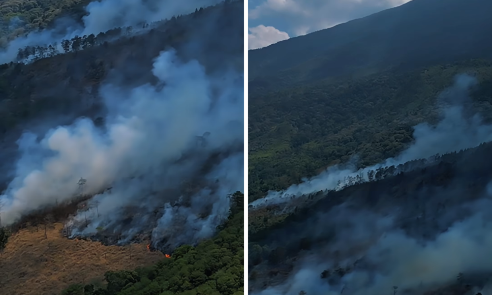 Kebakaran di Kawasan Gunung Ciremai Meluas, Pemdaman Libatkan 742 Personel Gabungan