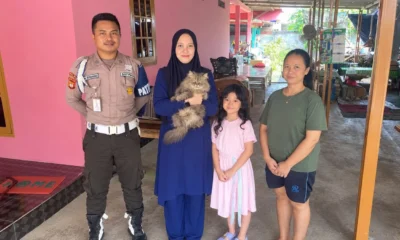 Kucing yang Hilang usai Sempat Dibawa Tukang Mi Ayam Akhirnya Ditemukan
