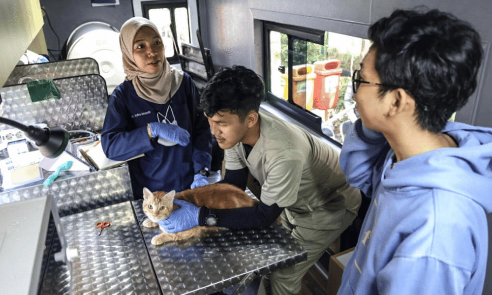 Pemerintah Jakarta Luncurkan Mobil Klinik Hewan Keliling, 4.377 Hewan Sudah Dilayani