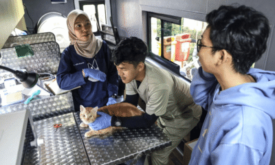Pemerintah Jakarta Luncurkan Mobil Klinik Hewan Keliling, 4.377 Hewan Sudah Dilayani