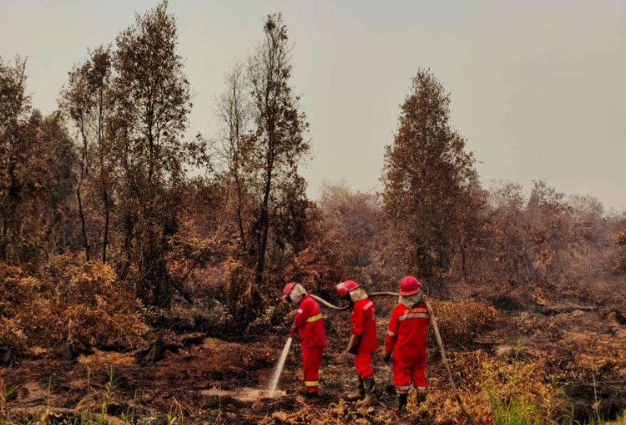 Seorang Pria Tewas Terbakar saat Padamkan Karhutla di Samarinda