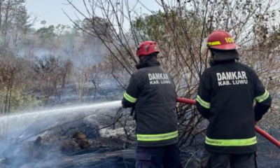 Tak Hanya Kahutla, Puting Beliung dan Banjir Juga Terjang Banjar Kalimantan Selatan