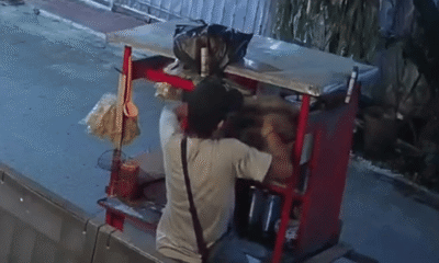 Tukang Mi Ayam yang Keciduk Curi Kucing di Bekasi Berujung Damai dengan Pemiliknya