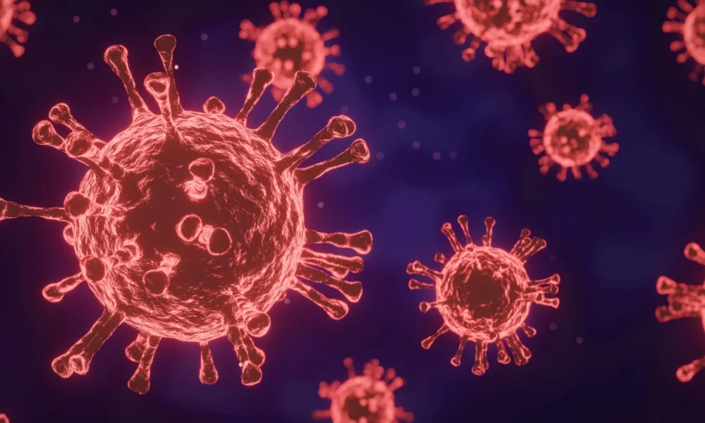 Virus Shamonda Pertama Kali Terdeteksi di Manusia, Pasien Meninggal Dunia