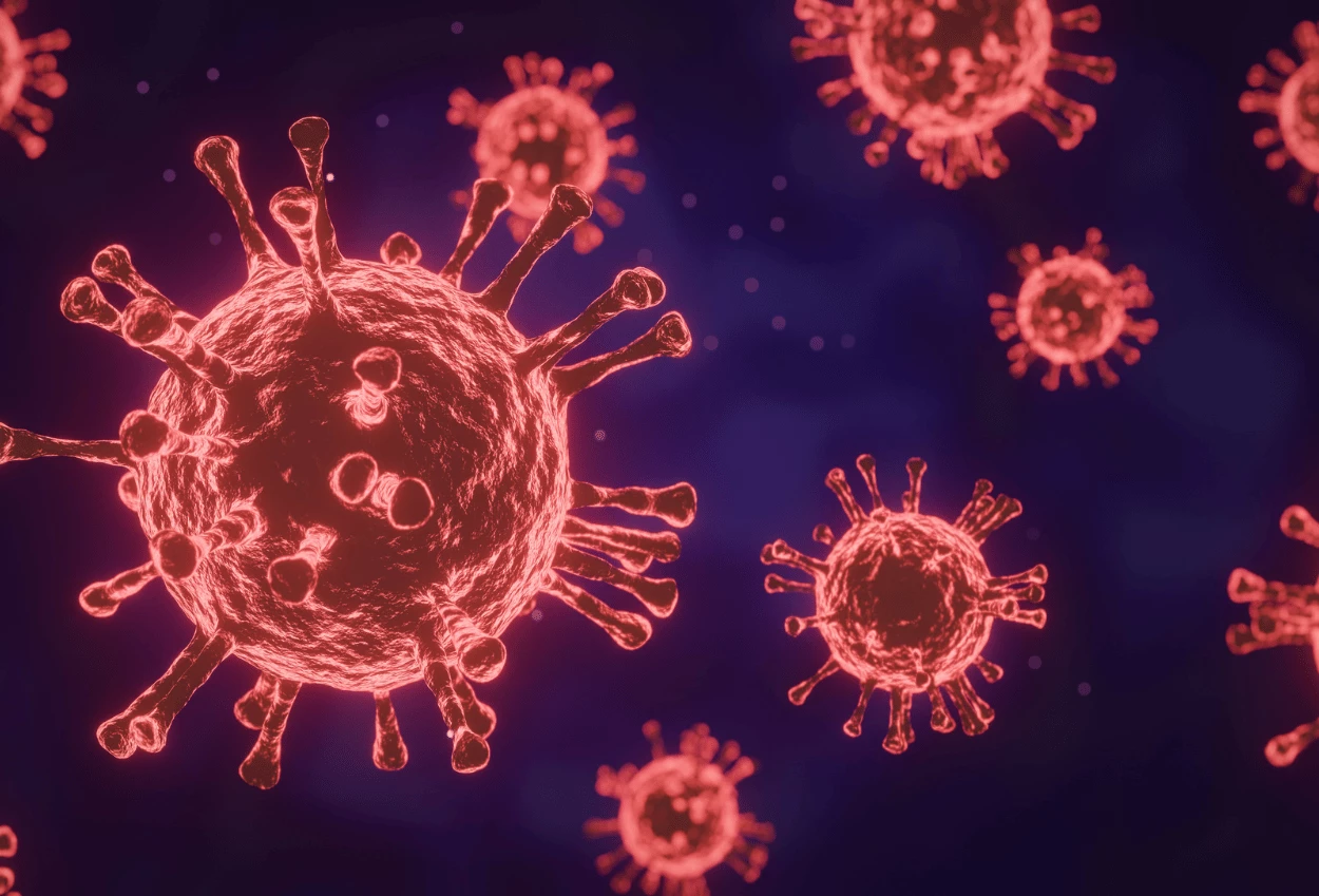 Virus Shamonda Pertama Kali Terdeteksi di Manusia, Pasien Meninggal Dunia