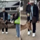 Wisatawan Indonesia Kasih Makan Rusa dengan Sampah Plastik di Jepang