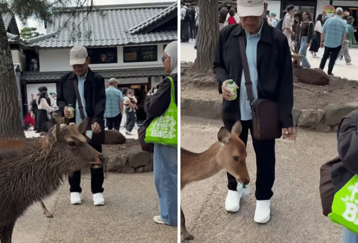 Wisatawan Indonesia Kasih Makan Rusa dengan Sampah Plastik di Jepang